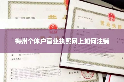 梅州个体户营业执照网上如何注销