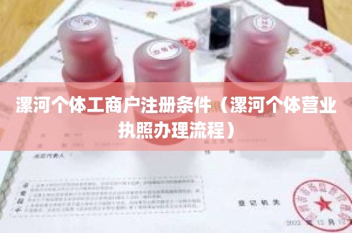 漯河个体工商户注册条件（漯河个体营业执照办理流程）