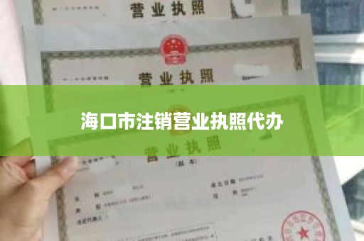 海口市注销营业执照代办