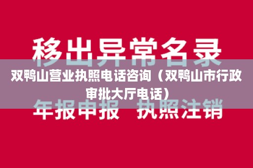 双鸭山营业执照电话咨询（双鸭山市行政审批大厅电话）