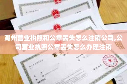 潮州营业执照和公章丢失怎么注销公司,公司营业执照公章丢失怎么办理注销