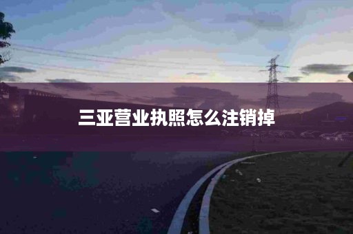 三亚营业执照怎么注销掉