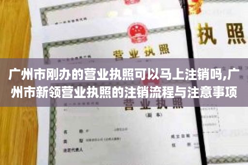 广州市刚办的营业执照可以马上注销吗,广州市新领营业执照的注销流程与注意事项