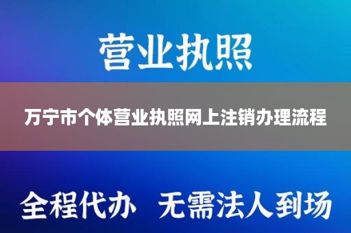 万宁市个体营业执照网上注销办理流程