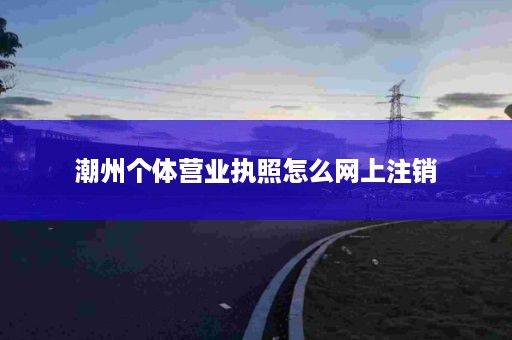 潮州个体营业执照怎么网上注销