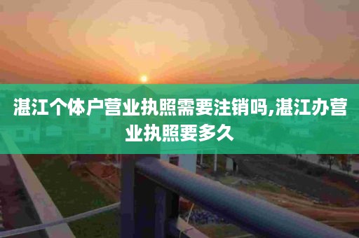 湛江个体户营业执照需要注销吗,湛江办营业执照要多久