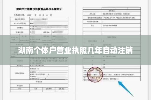 湖南个体户营业执照几年自动注销