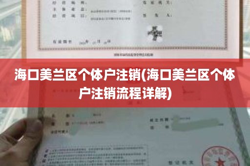 海口美兰区个体户注销(海口美兰区个体户注销流程详解)
