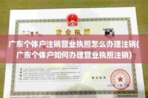 广东个体户注销营业执照怎么办理注销(广东个体户如何办理营业执照注销)