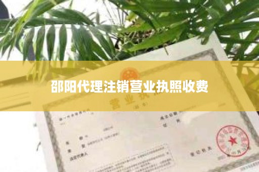 邵阳代理注销营业执照收费
