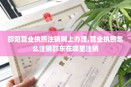 邵阳营业执照注销网上办理,营业执照怎么注销邵东在哪里注销
