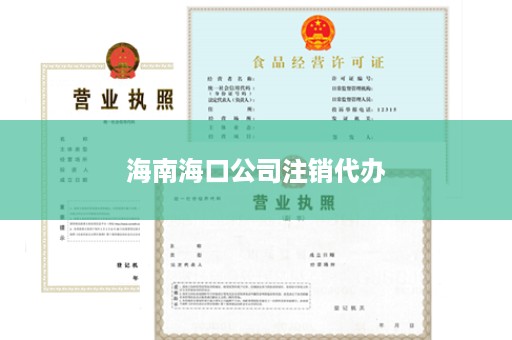 海南海口公司注销代办