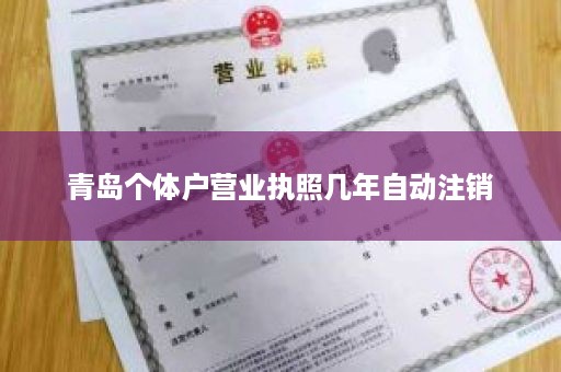 青岛个体户营业执照几年自动注销
