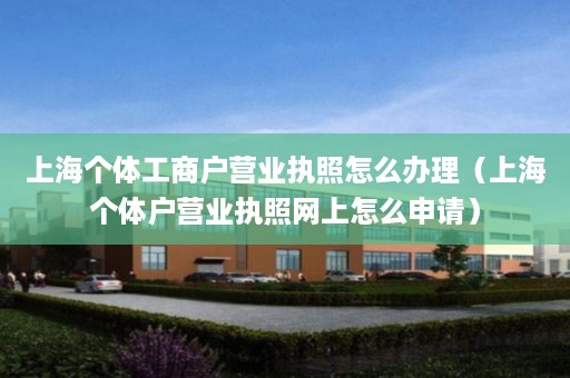 上海个体工商户营业执照怎么办理（上海个体户营业执照网上怎么申请）