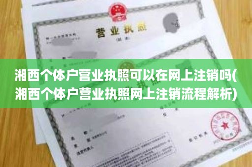 湘西个体户营业执照可以在网上注销吗(湘西个体户营业执照网上注销流程解析)