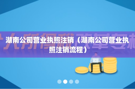 湖南公司营业执照注销（湖南公司营业执照注销流程）