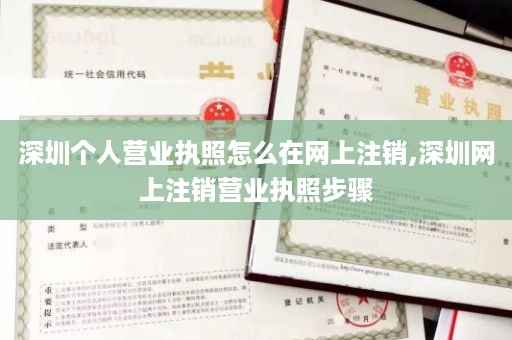 深圳个人营业执照怎么在网上注销,深圳网上注销营业执照步骤