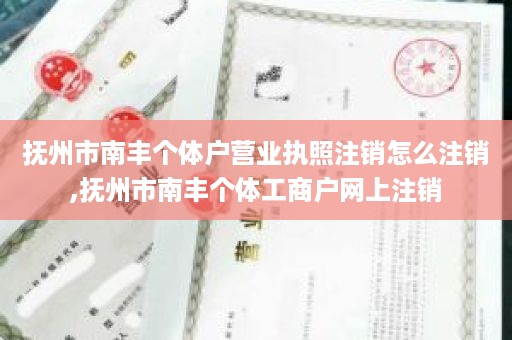 抚州市南丰个体户营业执照注销怎么注销,抚州市南丰个体工商户网上注销