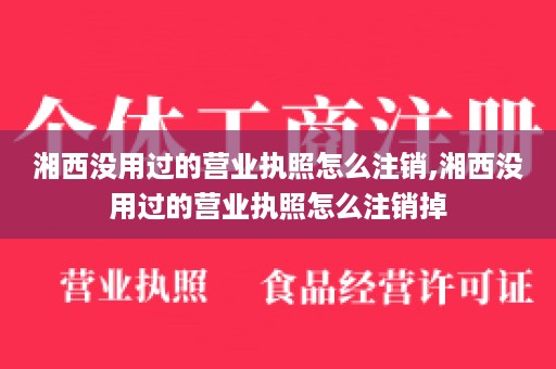 湘西没用过的营业执照怎么注销,湘西没用过的营业执照怎么注销掉