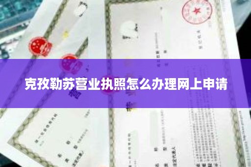 克孜勒苏营业执照怎么办理网上申请