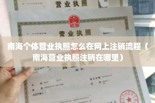 南海个体营业执照怎么在网上注销流程（南海营业执照注销在哪里）