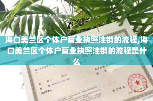 海口美兰区个体户营业执照注销的流程,海口美兰区个体户营业执照注销的流程是什么