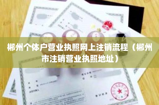 郴州个体户营业执照网上注销流程（郴州市注销营业执照地址）