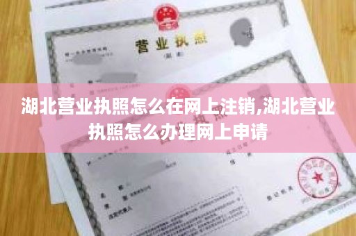 湖北营业执照怎么在网上注销,湖北营业执照怎么办理网上申请