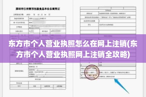 东方市个人营业执照怎么在网上注销(东方市个人营业执照网上注销全攻略)