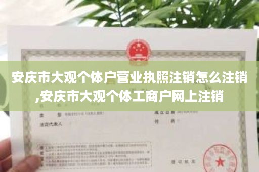 安庆市大观个体户营业执照注销怎么注销,安庆市大观个体工商户网上注销