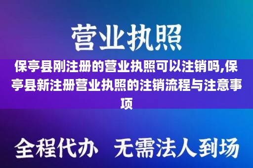 保亭县刚注册的营业执照可以注销吗,保亭县新注册营业执照的注销流程与注意事项