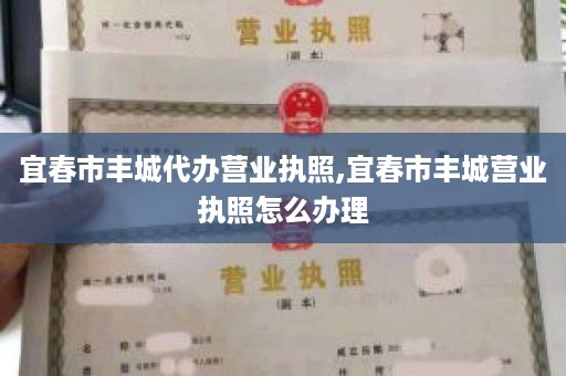 宜春市丰城代办营业执照,宜春市丰城营业执照怎么办理