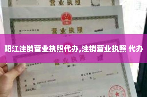 阳江注销营业执照代办,注销营业执照 代办