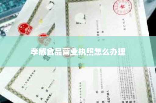 孝感食品营业执照怎么办理