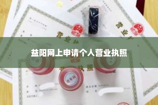 益阳网上申请个人营业执照