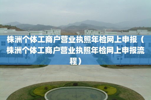 株洲个体工商户营业执照年检网上申报（株洲个体工商户营业执照年检网上申报流程）