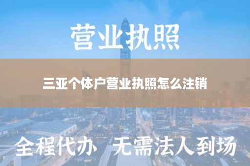 三亚个体户营业执照怎么注销