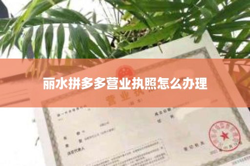 丽水拼多多营业执照怎么办理