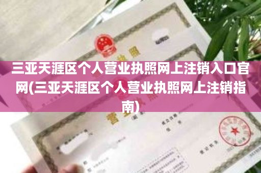 三亚天涯区个人营业执照网上注销入口官网(三亚天涯区个人营业执照网上注销指南)