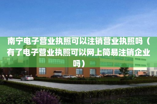 南宁电子营业执照可以注销营业执照吗（有了电子营业执照可以网上简易注销企业吗）