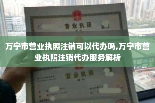 万宁市营业执照注销可以代办吗,万宁市营业执照注销代办服务解析