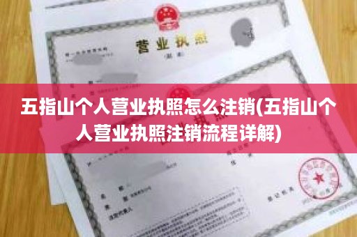 五指山个人营业执照怎么注销(五指山个人营业执照注销流程详解)