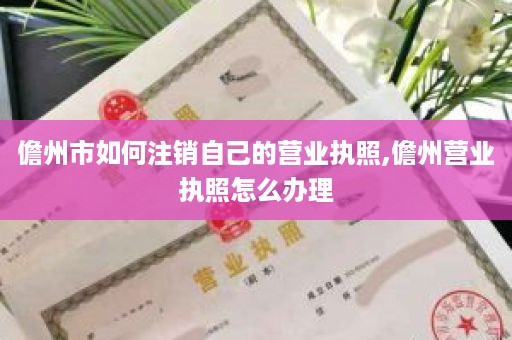 儋州市如何注销自己的营业执照,儋州营业执照怎么办理