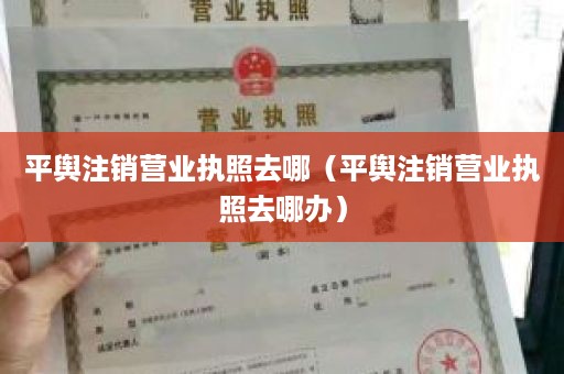 平舆注销营业执照去哪（平舆注销营业执照去哪办）