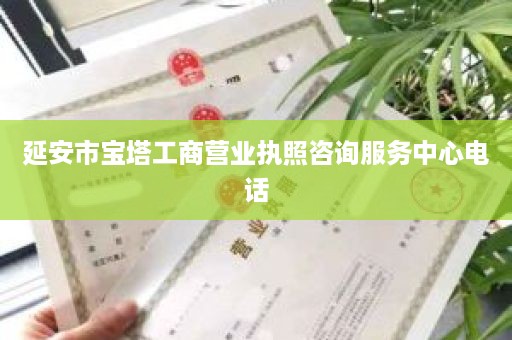 延安市宝塔工商营业执照咨询服务中心电话