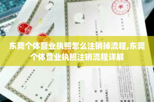 东莞个体营业执照怎么注销掉流程,东莞个体营业执照注销流程详解