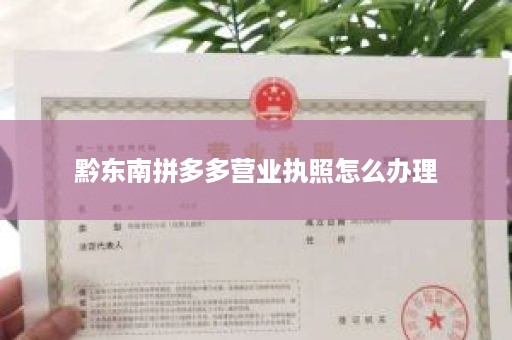 黔东南拼多多营业执照怎么办理