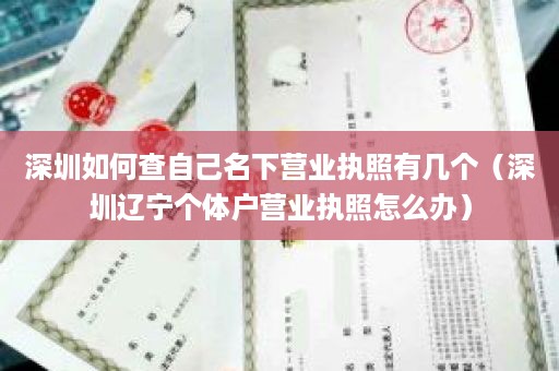 深圳如何查自己名下营业执照有几个（深圳辽宁个体户营业执照怎么办）