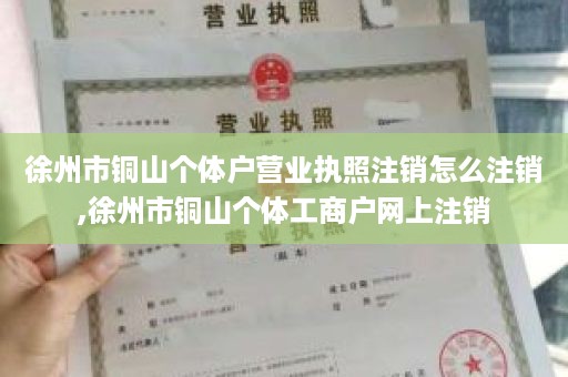 徐州市铜山个体户营业执照注销怎么注销,徐州市铜山个体工商户网上注销