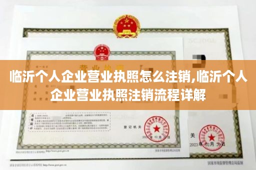 临沂个人企业营业执照怎么注销,临沂个人企业营业执照注销流程详解